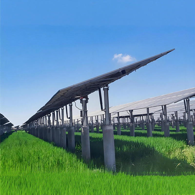 Soportes de montaje solar en tierra para proyectos de ingeniería – Alta resistencia al viento, fácil instalación