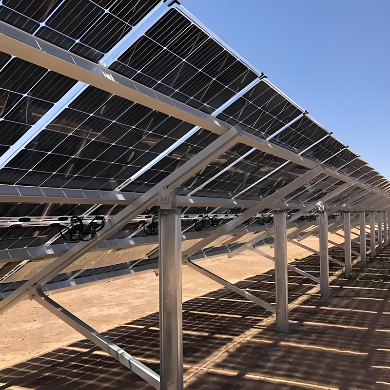 Soportes de montaje de paneles solares personalizables para las necesidades de su planta de energía solar Solución fuerte y duradera para sus proyectos