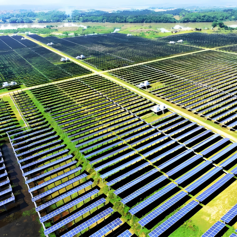 Estructura de soporte fotovoltaico resistente a vientos fuertes específica para suelo, con gran capacidad de carga y a prueba de corrosión