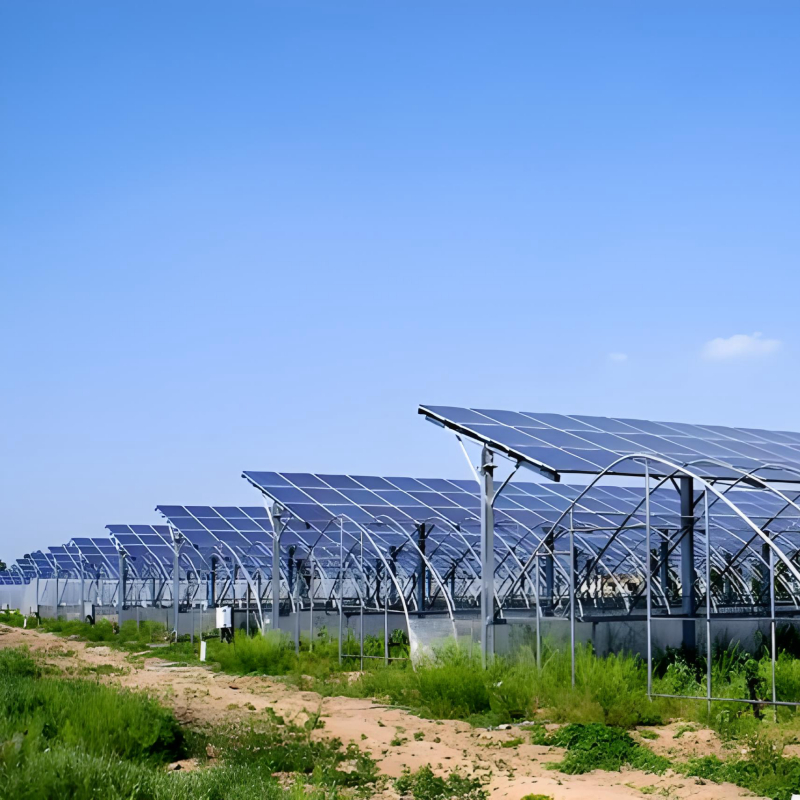 Rentables	Soportes de montaje solar en tierra construidos para proyectos a gran escala, fiabilidad duradera