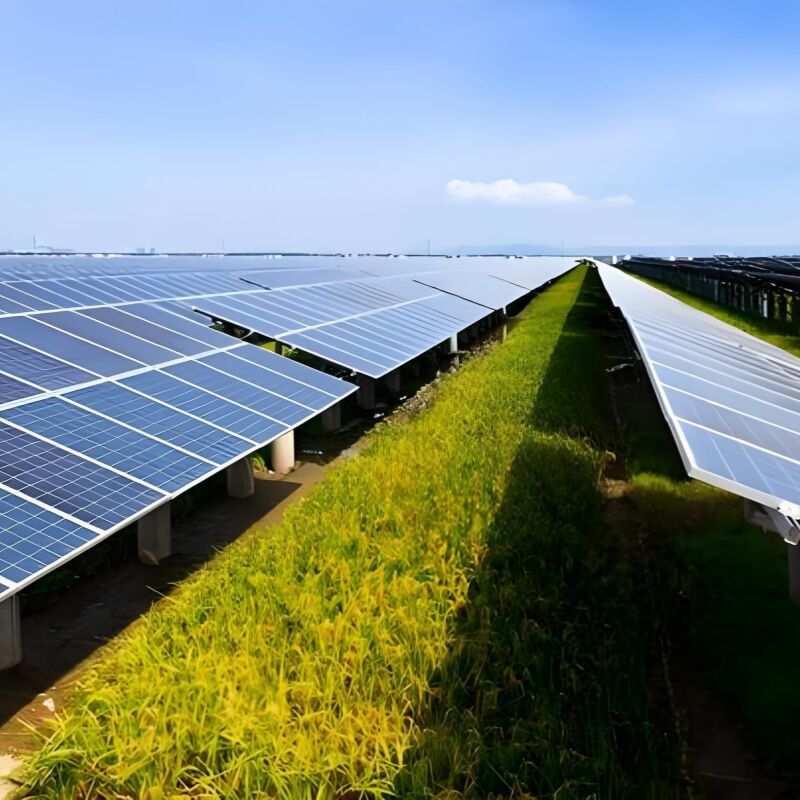 Soportes de montaje solar en tierra preensamblados, una solución de montaje en tierra diseñada para resistir fuertes vientos y cargas de nieve en instalaciones solares